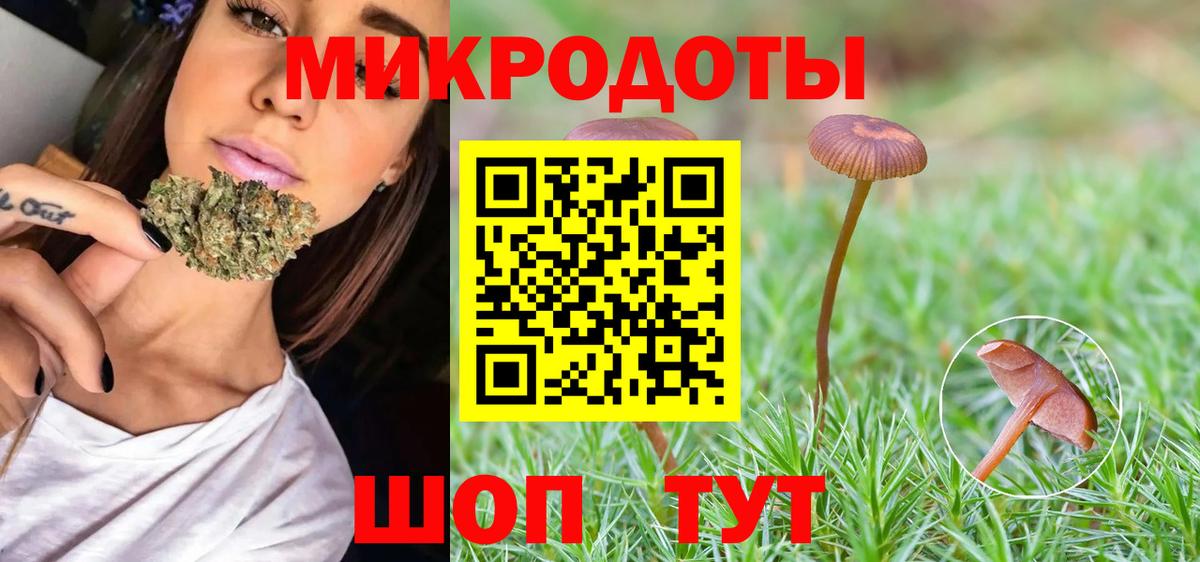 Карпинск  Галлюциногенные грибы прущие грибы  Вход с VPN 