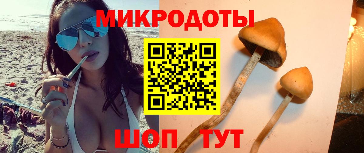 Галлюциногенные грибы Magic Shrooms Карпинск